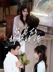 易总的娇娇玫瑰 第21-40集