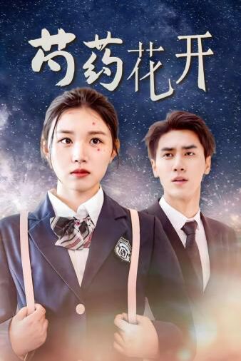 芍药花开（火光中的芍药花） 第61-77集完结(大结局)