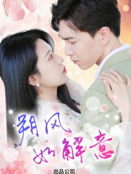 朔风有解意 第1-20集
