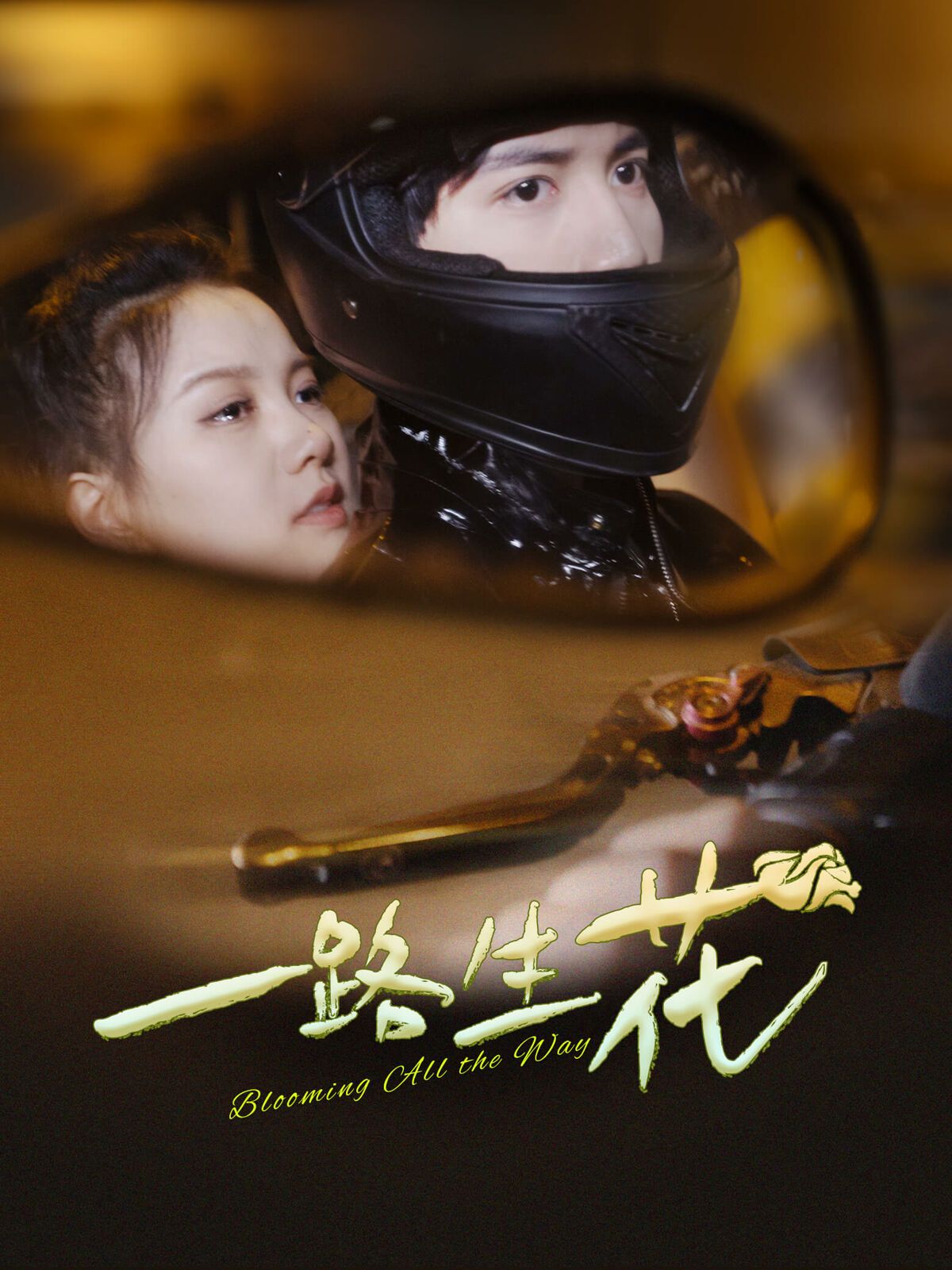 一路生花 第1-20集