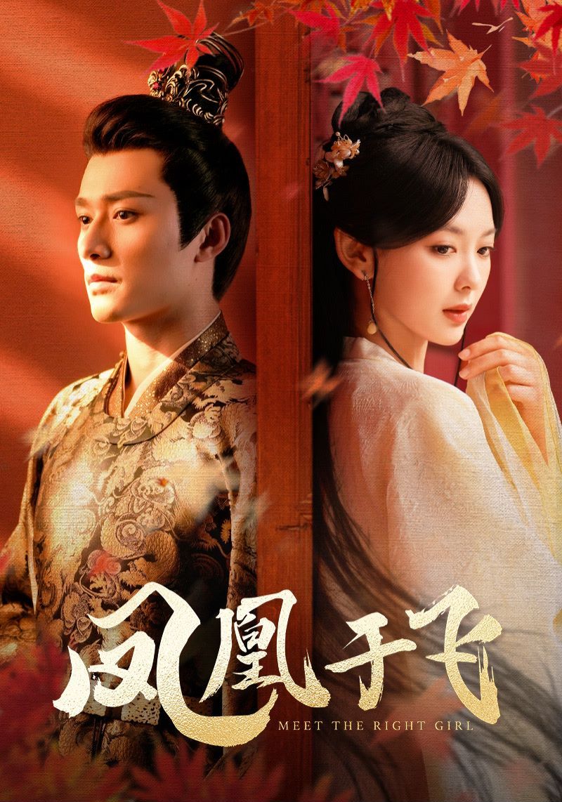 凤凰于飞 第1-20集