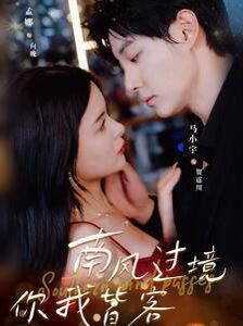 南风国境你我皆客 第21-40集