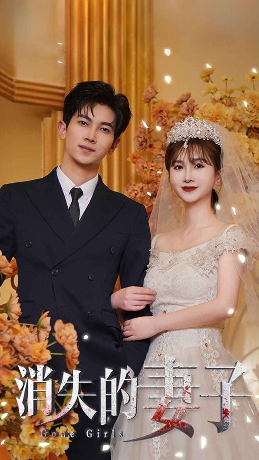 新：消失的妻子 第1-20集