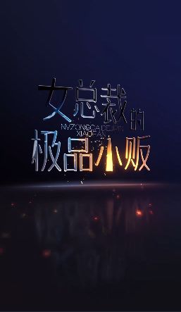 女总裁的极品小贩 第1-20集