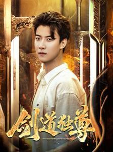 新剑道独尊 第1-20集