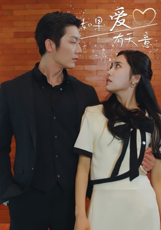 新如果爱有天意 第1-20集