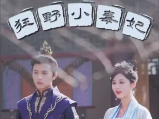 狂野小毒妃 第61-87集完结(大结局)