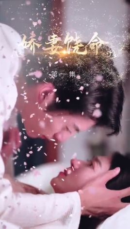 娇妻饶命 第1-20集