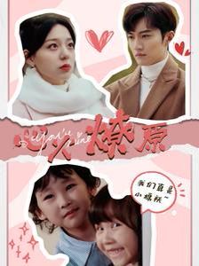 心火燎原（首席萌宝买一送一） 第41-60集