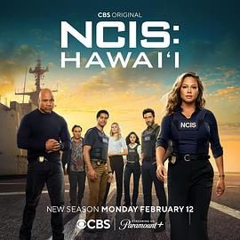 海军罪案调查处：夏威夷 第三季 2