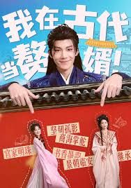 我在古代当赘婿(全集)