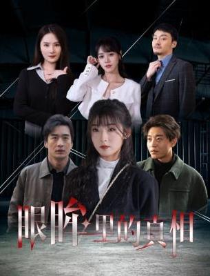 眼眸里的真相 第12集