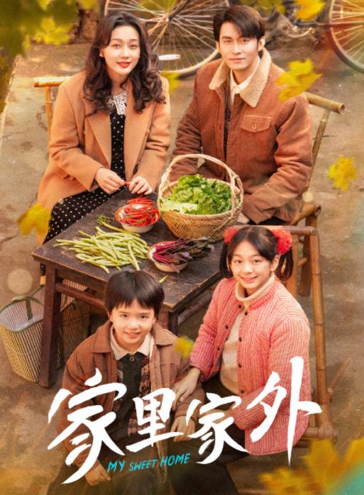 家里家外 第21-40集